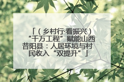 （乡村行·看振兴）“千万工程”赋能山西昔阳县：人居环境与村民收入“双提升”