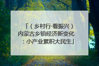 （乡村行·看振兴）内蒙古乡镇经济新变化：小产业累积大民生