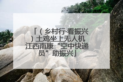 （乡村行·看振兴）土鸡坐上无人机 江西南康“空中快递员”助振兴