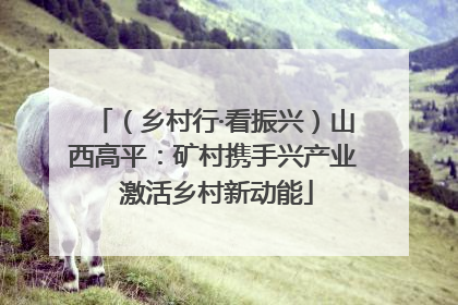 （乡村行·看振兴）山西高平：矿村携手兴产业 激活乡村新动能