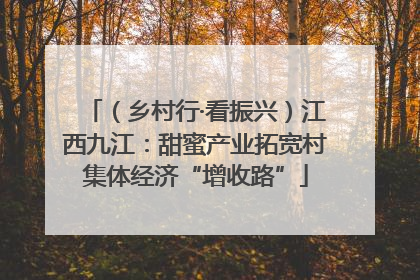（乡村行·看振兴）江西九江：甜蜜产业拓宽村集体经济“增收路”