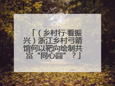 （乡村行·看振兴）浙江乡村弓箭馆何以靶向绘制共富“同心圆”？