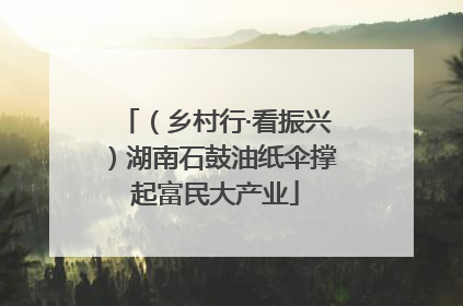 （乡村行·看振兴）湖南石鼓油纸伞撑起富民大产业