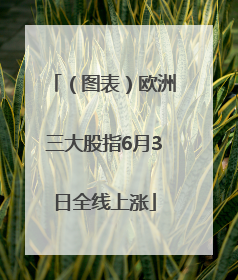 （图表）欧洲三大股指6月3日全线上涨