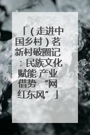 （走进中国乡村）茗新村破圈记：民族文化赋能 产业借势 “网红东风”