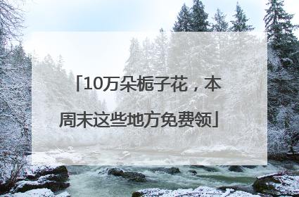 10万朵栀子花，本周末这些地方免费领