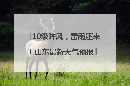 10级阵风，雷雨还来！山东最新天气预报