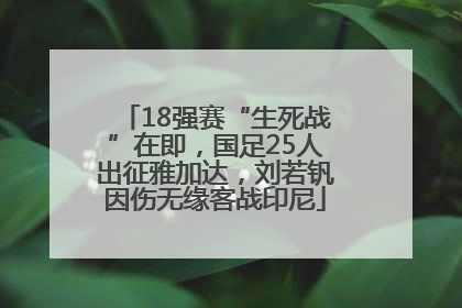 18强赛“生死战”在即，国足25人出征雅加达，刘若钒因伤无缘客战印尼
