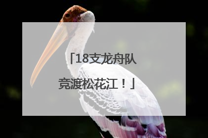 18支龙舟队竞渡松花江！