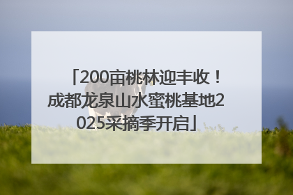 200亩桃林迎丰收！成都龙泉山水蜜桃基地2025采摘季开启