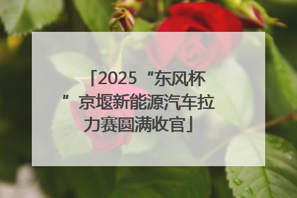 2025“东风杯”京堰新能源汽车拉力赛圆满收官