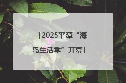 2025平潭“海岛生活季”开幕