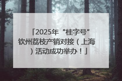 2025年“桂字号”钦州荔枝产销对接（上海）活动成功举办！