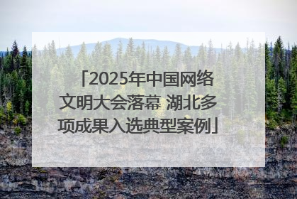 2025年中国网络文明大会落幕 湖北多项成果入选典型案例
