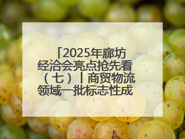 2025年廊坊经洽会亮点抢先看（七）丨商贸物流领域一批标志性成果将集中发布