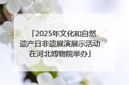2025年文化和自然遗产日非遗展演展示活动在河北博物院举办