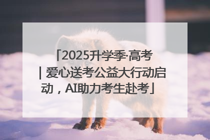2025升学季·高考｜爱心送考公益大行动启动，AI助力考生赴考