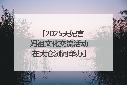 2025天妃宫妈祖文化交流活动在太仓浏河举办