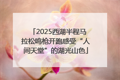 2025西湖半程马拉松鸣枪开跑感受“人间天堂”的湖光山色