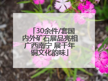 30余件/套国内外矿石展品亮相广西南宁 展千年铜文化韵味