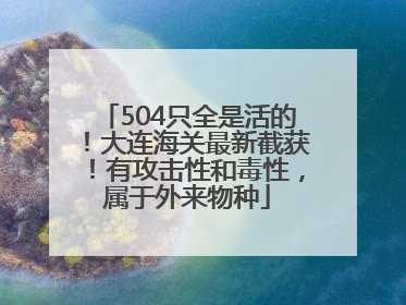 504只全是活的！大连海关最新截获！有攻击性和毒性，属于外来物种