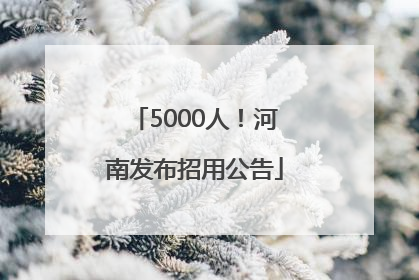 5000人！河南发布招用公告