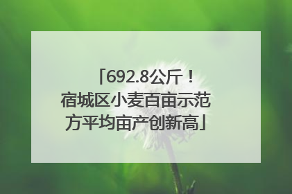 692.8公斤！宿城区小麦百亩示范方平均亩产创新高