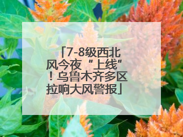 7-8级西北风今夜“上线”！乌鲁木齐多区拉响大风警报
