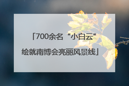 700余名“小白云”绘就南博会亮丽风景线