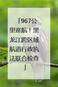 967公里巡航！黑龙江跨区域航道行政执法联合检查