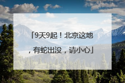 9天9起！北京这地，有蛇出没，请小心