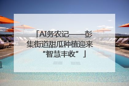 AI务农记——彭集街道甜瓜种植迎来“智慧丰收”