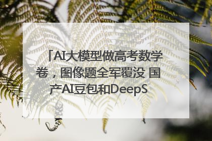 AI大模型做高考数学卷，图像题全军覆没 国产AI豆包和DeepSeek均得分144