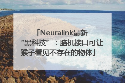 Neuralink最新“黑科技”：脑机接口可让猴子看见不存在的物体