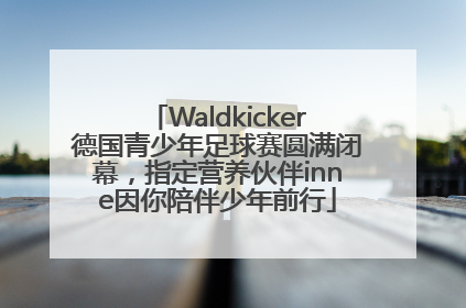 Waldkicker德国青少年足球赛圆满闭幕，指定营养伙伴inne因你陪伴少年前行